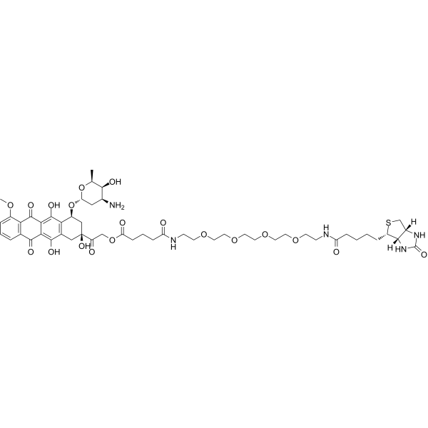 Biotin-doxorubicin 3026061-30-0